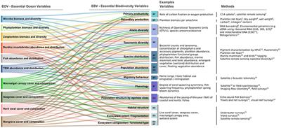 Advancing Marine Biological Observations and Data Requirements of the Complementary Essential Ocean Variables (EOVs) and Essential Biodiversity Variables (EBVs) Frameworks